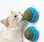Cat Catnip Ball Toy