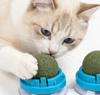 Cat Catnip Ball Toy