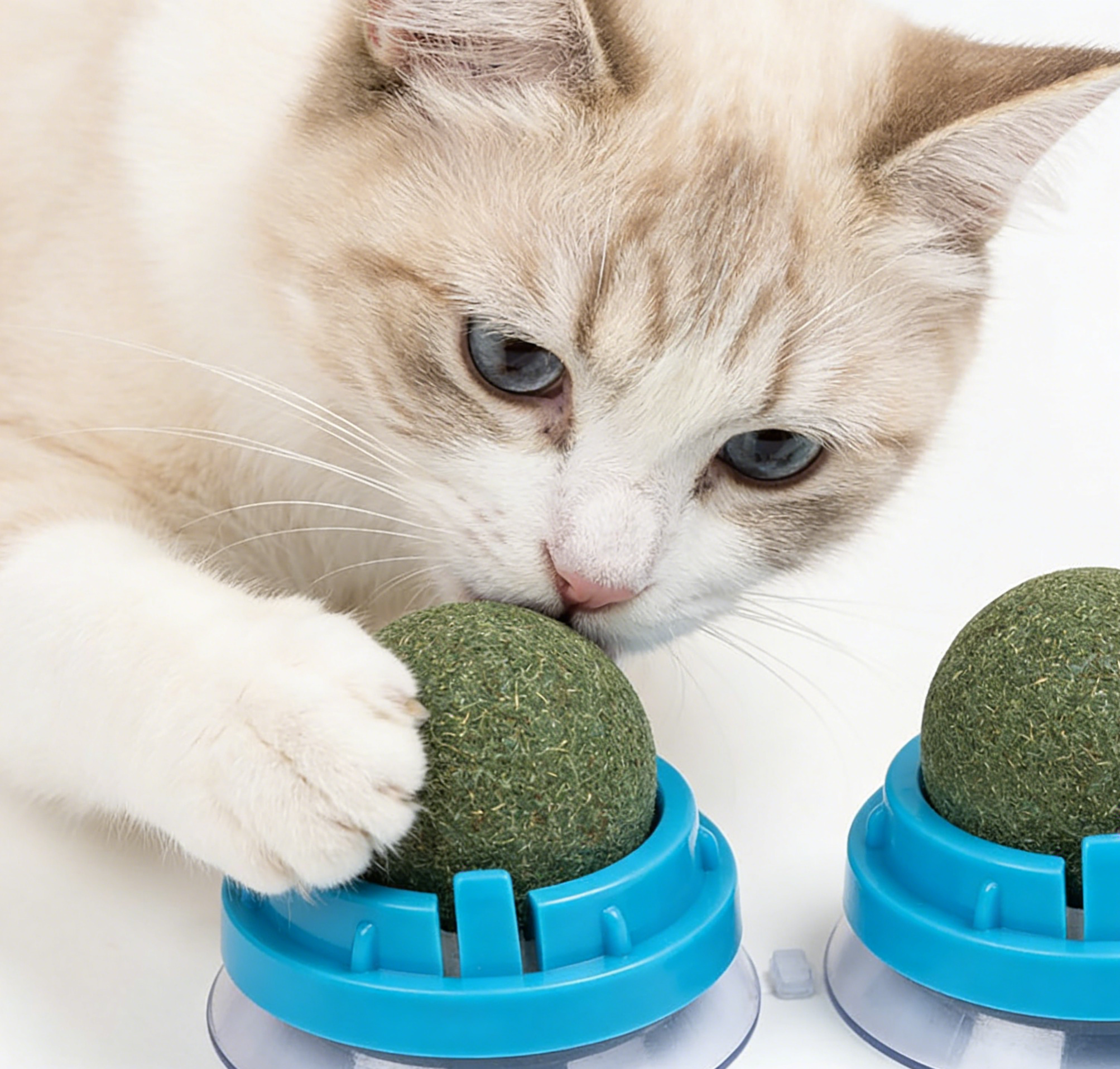 Cat Catnip Ball Toy